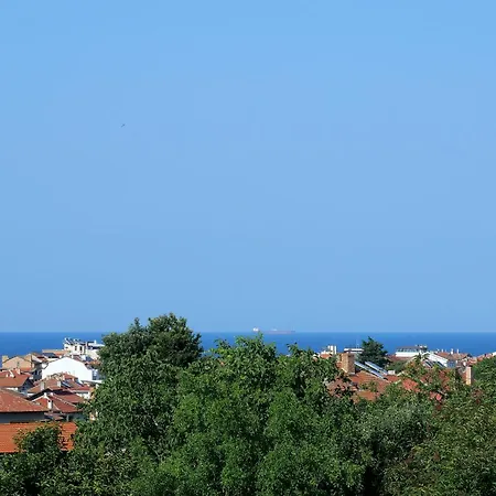 ели